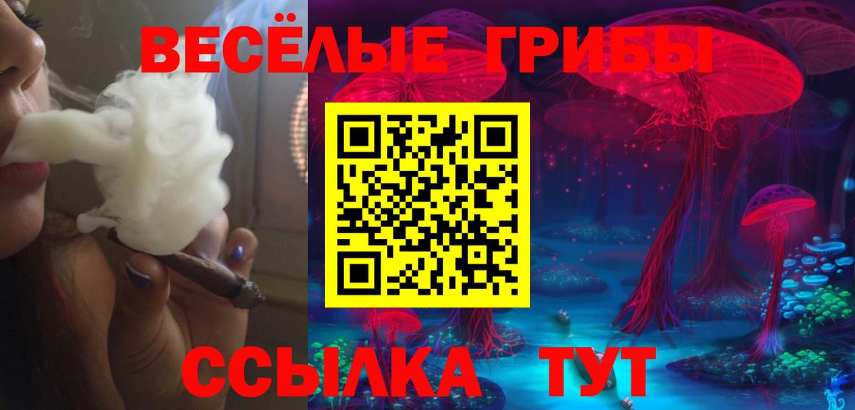 Гусь-Хрустальный  цены   Вход с VPN  Галлюциногенные грибы Psilocybe 